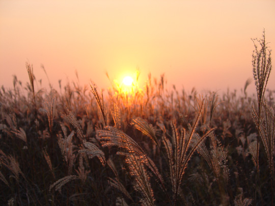 하늘공원에서_8