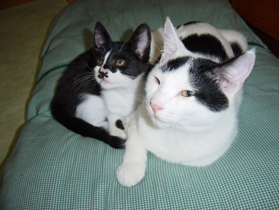 이뻐진 난이입니다