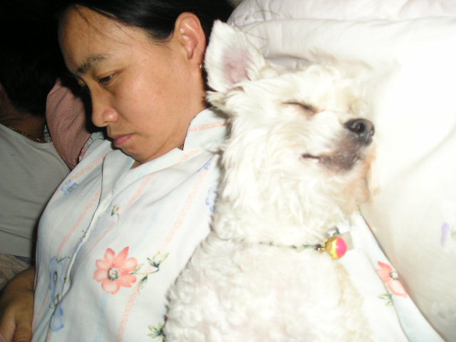 [엽기!!]볼키의 잠자는 포즈