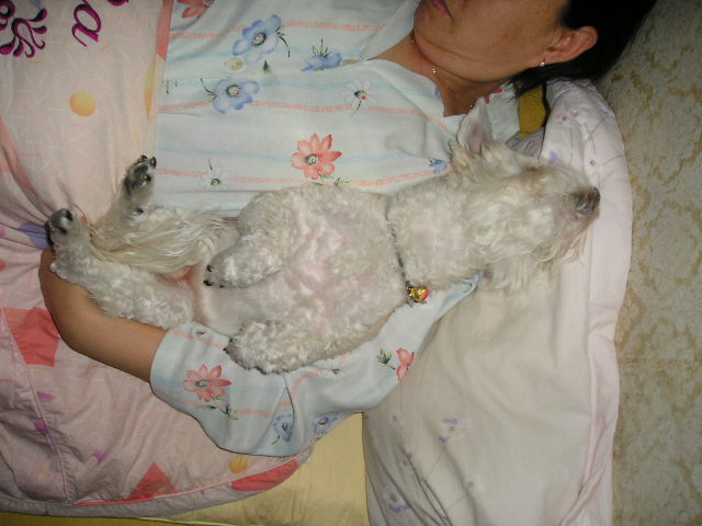 [엽기!!]볼키의 잠자는 포즈