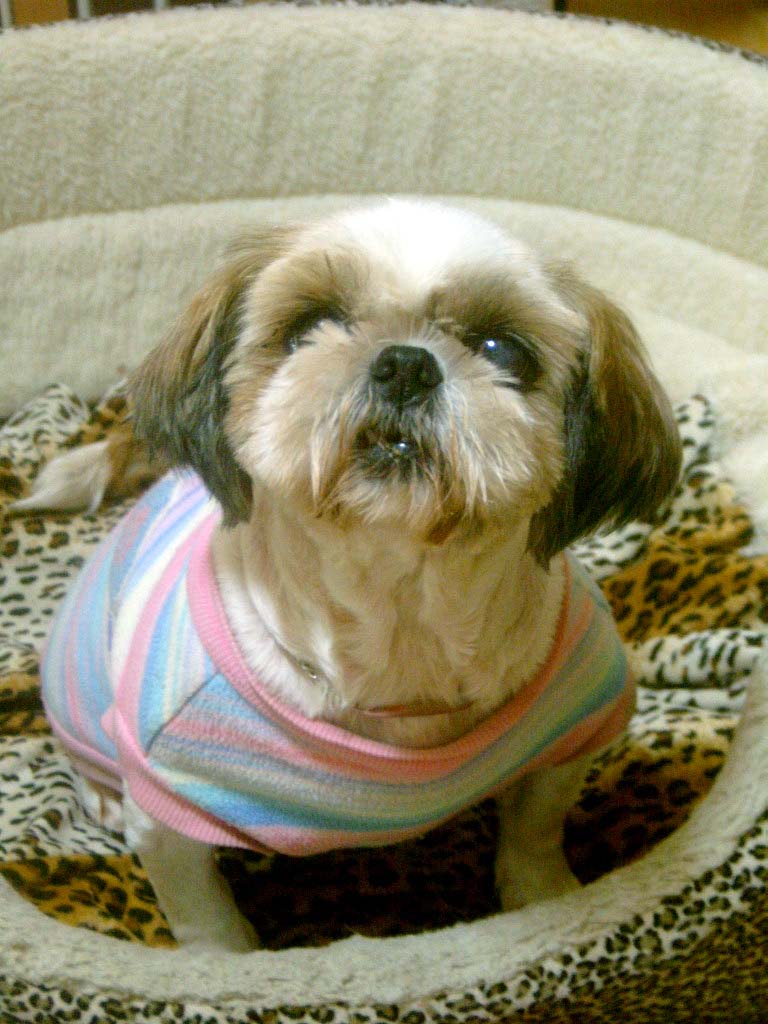 [re] 일요일날 봉사서 찍은 알탕 사진 한장