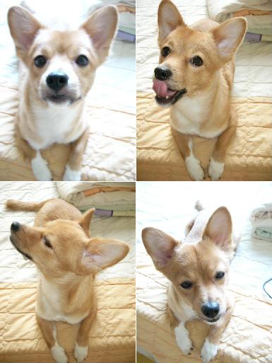 동자련야유회에서...