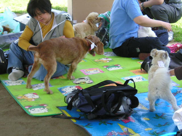 동자련야유회에서...