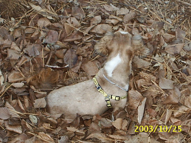 동자련야유회에서...