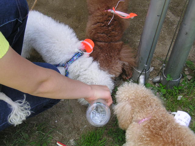 동자련야유회에서...