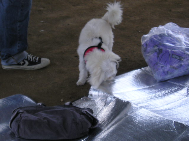 동자련야유회에서...