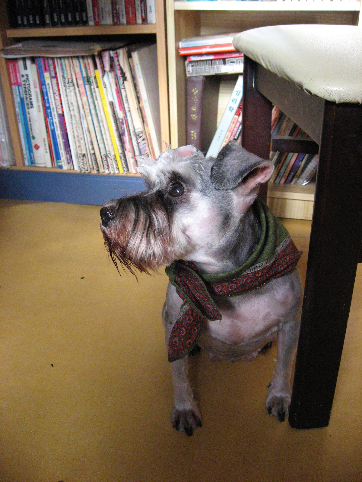 동자련야유회에서...