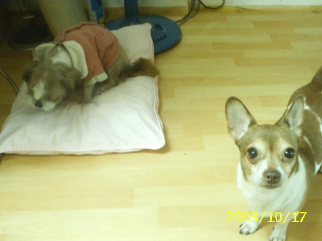 동자련야유회에서...