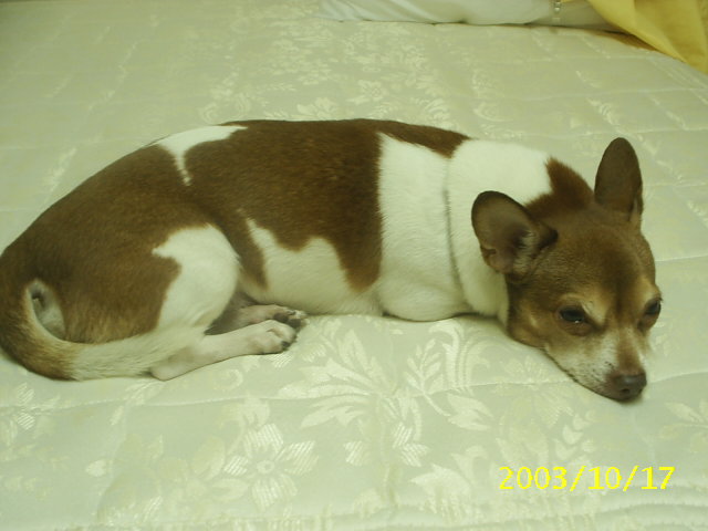 동자련야유회에서...