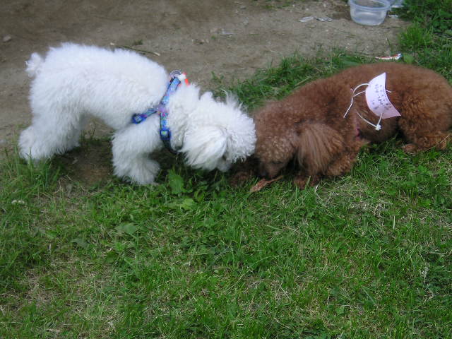 동자련야유회에서...