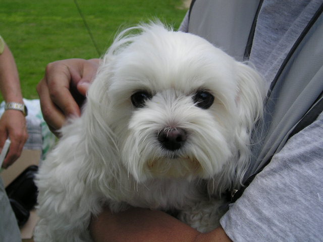 동자련야유회에서...