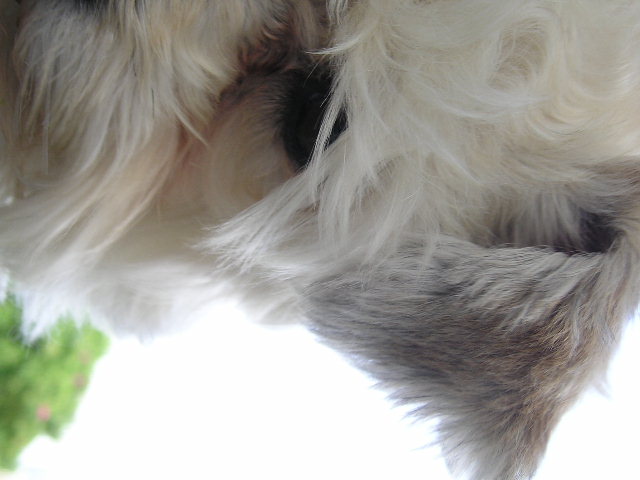 동자련야유회에서...