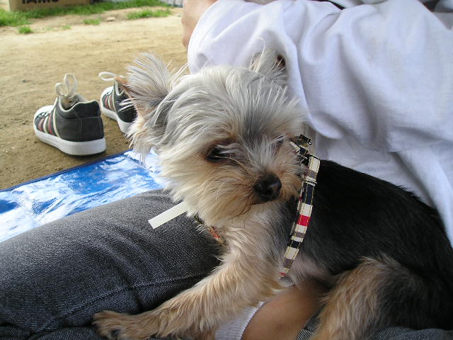 동자련야유회에서...