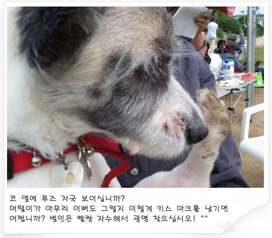 [입양동물과의 만남] 범인 색출 대작전!