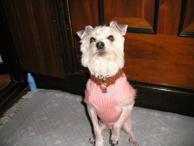 드뎌~~~~~누립니다용