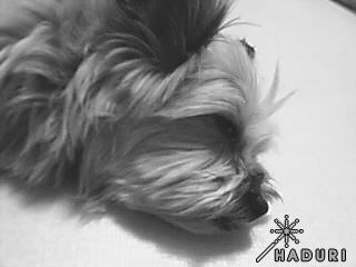 정말 오랜만이네욤!!  우리 포미\" 기억하시지요?