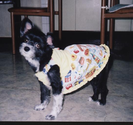 공주병의 극치....