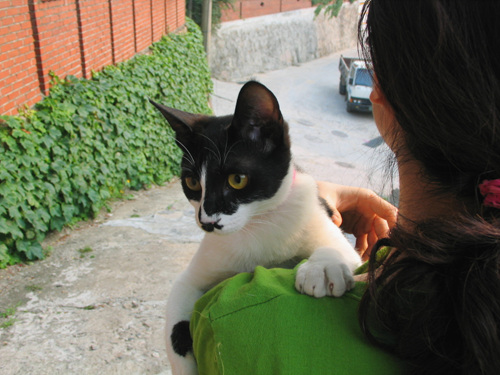 난이의 첫번째 산책