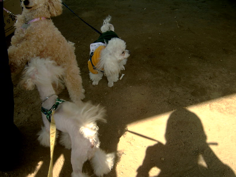 야유회 사진임당 ㅡ.ㅡ