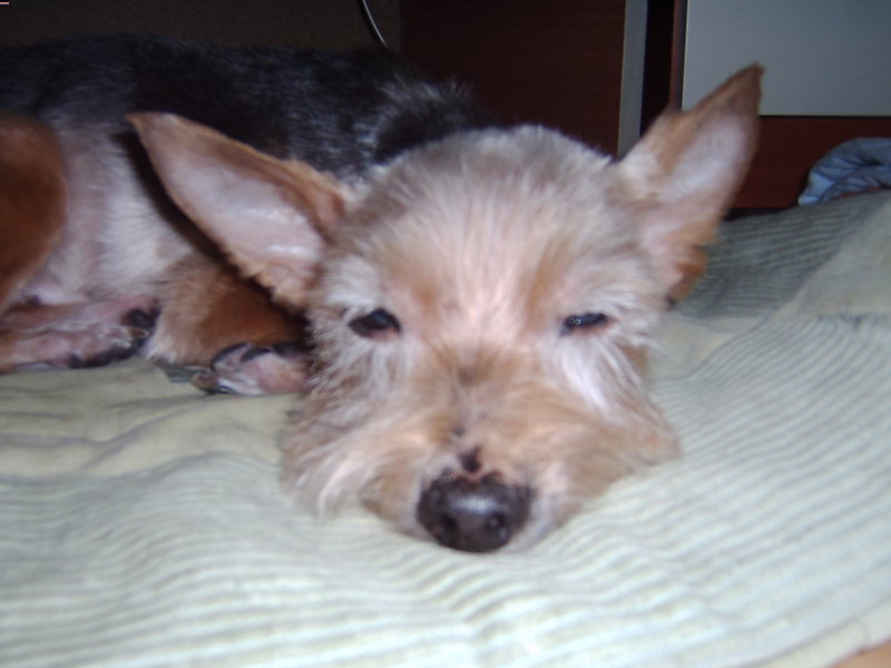 야유회 사진임당 ㅡ.ㅡ