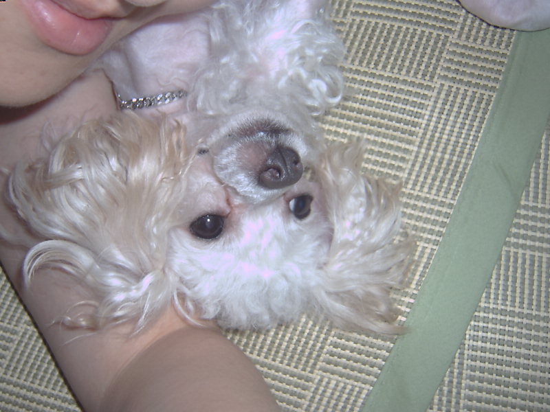 울 애들이 한자리에 있는 장면 (희귀본)