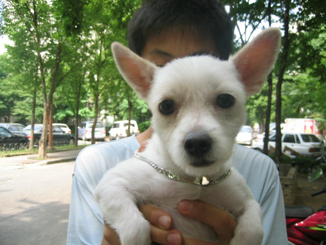나리인사드려요~(입양때이름은 나들이)