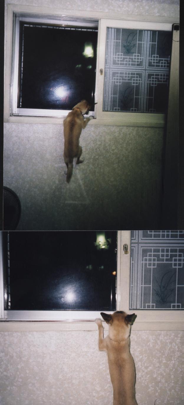 짱가 창틀에 메달린 사연.....