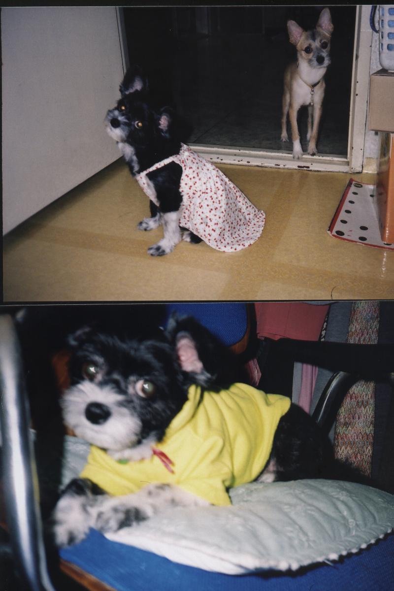 차돌이 또 이쁜척.....