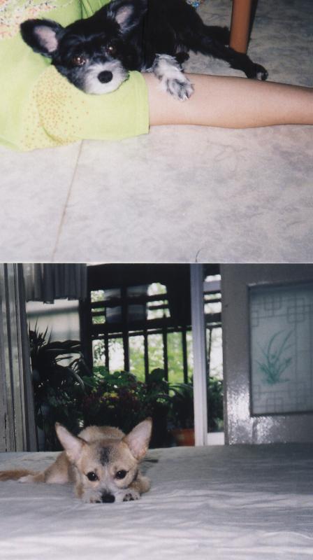 차돌이는 엄마팔베게 하고서....