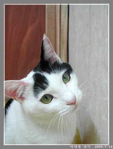 마야네 집입니다