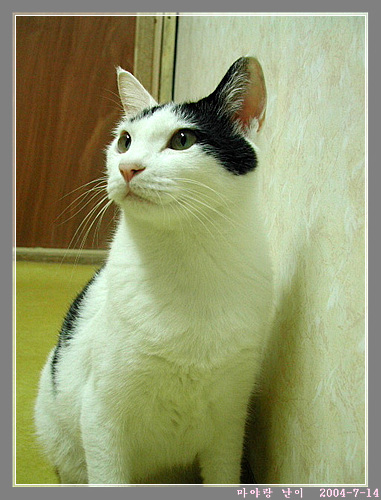 마야네 집입니다