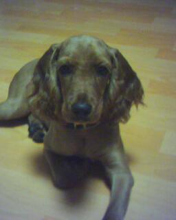 보금자리를 옮긴 우중..^_^