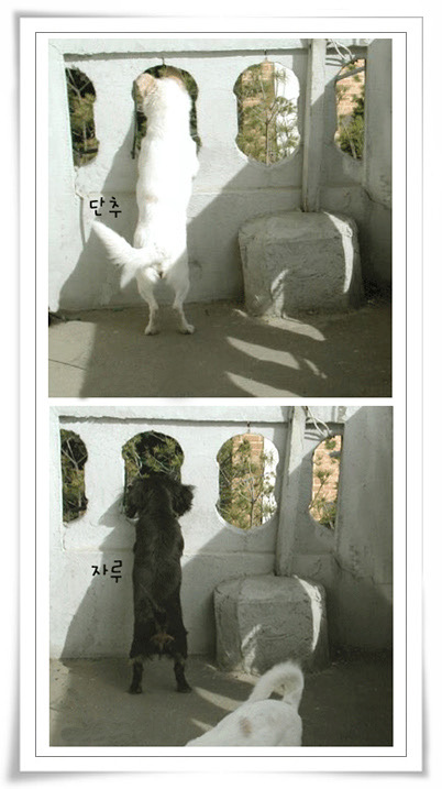 [단추네집]달라진 그림찾기