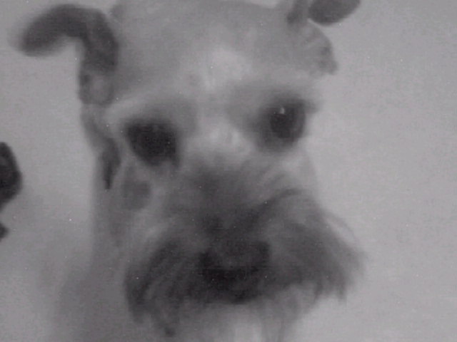 해리,찬이네 집입니다