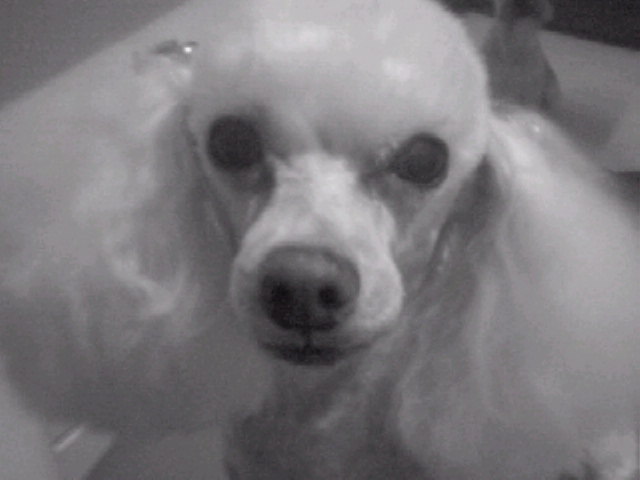 해리,찬이네 집입니다