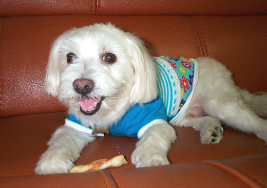 10주년 기념 껌 씹기. ^^;;;