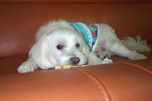 10주년 기념 껌 씹기. ^^;;;