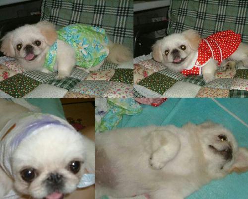 페페네 집에서 온 소식입니다.^^