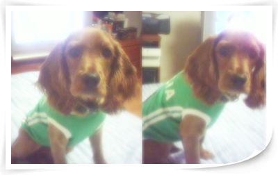 갓만에.. 우중이 소식..^_^