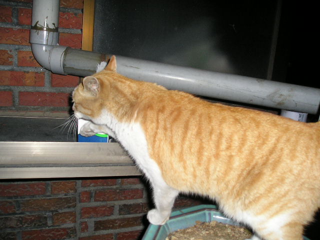 볼키가...이쁘죠?;ㅁ;