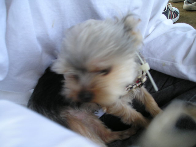 볼키가...이쁘죠?;ㅁ;