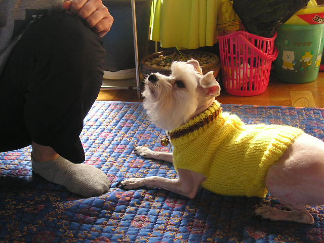 볼키가 사진을 또 찍었어요~