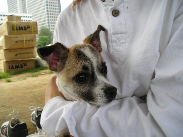 또 마루랍니다.