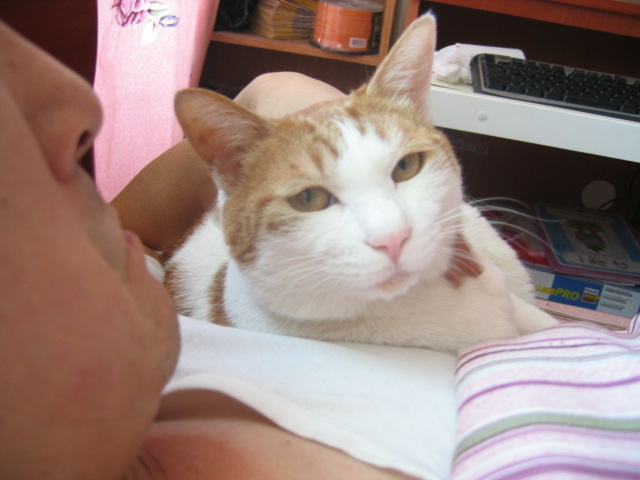 오랫만에.. 듀피네입니다..