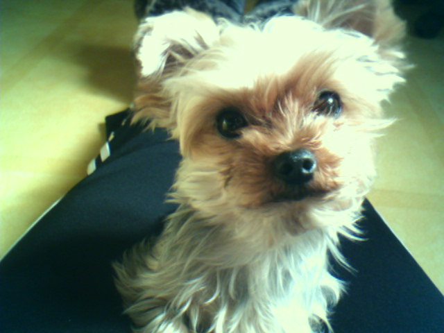 보배...간만에 들렀습니다..