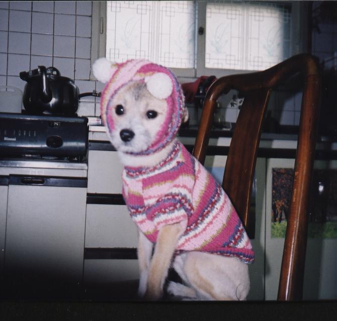 정말 인형같죠?