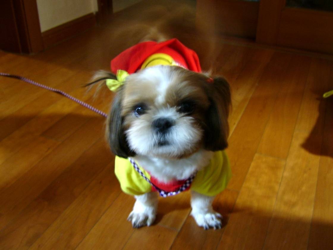 산책간다며!!!!!!!!!!!!!!!!!!!