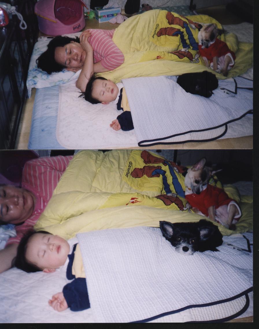 할머니와 손자 그리고, 우리집 녀석들.....