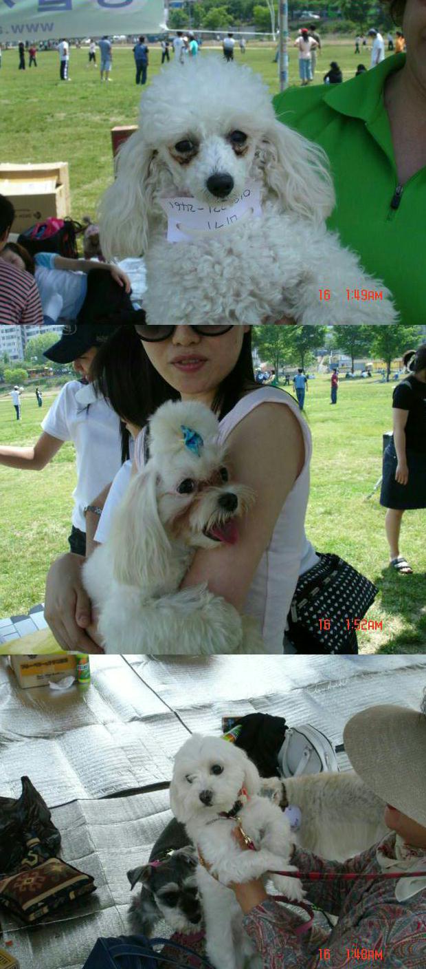 [사진]2005년 입양동물과의 만남