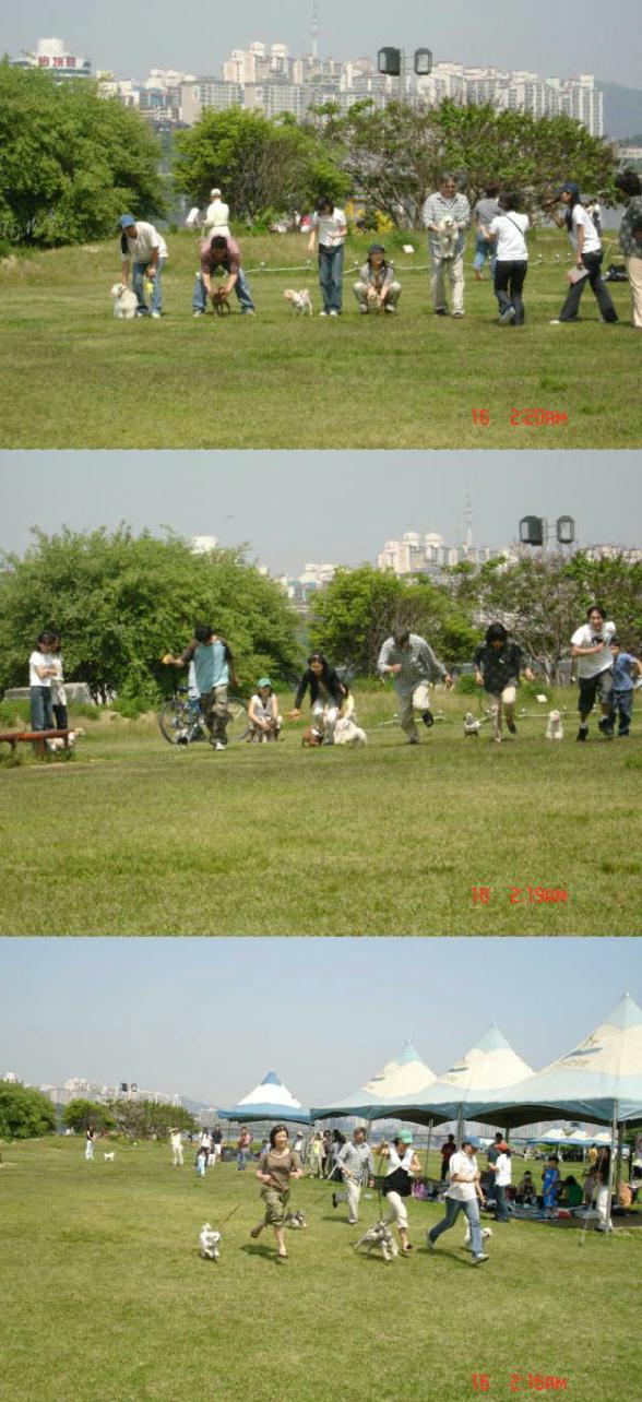 [사진]2005년 입양동물과의 만남